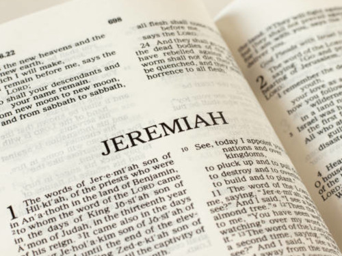 Worship, Dec 1, 10am
VIDEO. During Advent we will be hearing from the prophets Jeremiah, Malachi, Zephaniah, and Micah. They don’t always say what we want to hear but we need to hear what they have to say. This Sunday, Pastor Harry starts with Jeremiah 33:14-16.  Join us at 10am in the sanctuary or via livestream.