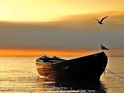 Children & Youth, Jun 20, 8:30 & 11am
This Sunday the children and youth will be learning about Jesus calling the disciples to be fishers of men (Matthew). The children and youth program begins in our worship services at 8:30 and 11. After they receive a blessing, they leave for their activities.