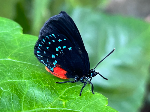 Worship, Aug 17, 8:30 & 11am
VIDEO. What can nature teach us about God and ourselves? What does it mean to live a faithful life when you are feeling caught between hope and despair? How can the Bible provide words of comfort and challenge in times such as these? With humor, wisdom and insight Pastor Andrew reflects on these questions and so much more.