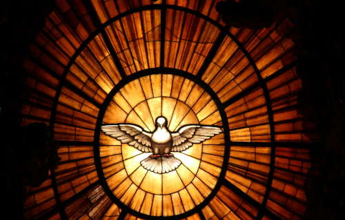 Stained Glass Dove in a Stained Glass window