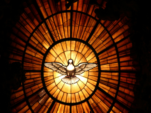Stained Glass Dove in a Stained Glass window