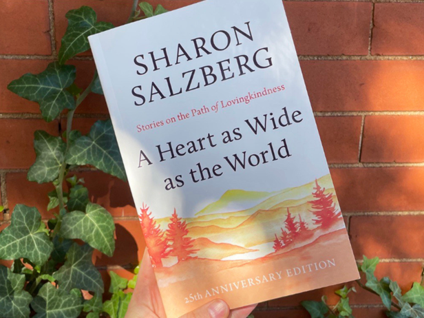 COF Women, Jan 11, 10am (Zoom)
The Women's Circle of Friends invites women to join their Saturday group on Jan 11, when they begin the new book A Heart as Wide as the World: Stories on
the Path of Lovingkindness by Sharon Salzberg, a beloved Buddist meditation teacher. We are in need of essays on Lovingkindness. From all spiritual traditions.