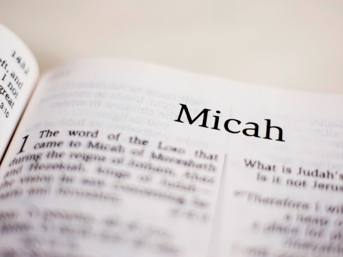 Worship, Dec 22, 8:30 & 11 am
This Sunday, listen as Pastor Harry discusses how the voice of the prophet Micah rises today amid our lessons and carols assuring us that war need not have the last word, that the zip code for peace is Bethlehem. What in the world is God doing there? Join us at 8:30 in Pope Hall and 11:00 in the Sanctuary and via livestream.