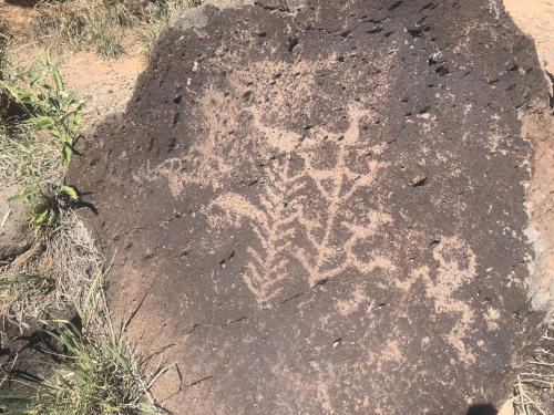 Petroglyphs on rock in desert