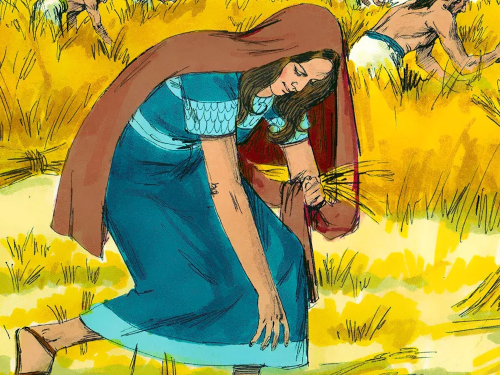 Ruth picking plants artistic renderinging