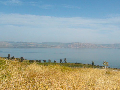 Worship, Feb 16, 8:30 & 11am
VIDEO. The lectionary reading for this Sunday (Luke 6:17-26) is the other Beatitudes, but this time it is given on the Plain, and includes four blessings and four woes. Pastor Harry invites us to hear today what Jesus has to say about life in the Empire. The livestream is available through the Friday following the service, and the message portion is available on our Sunday Message page.