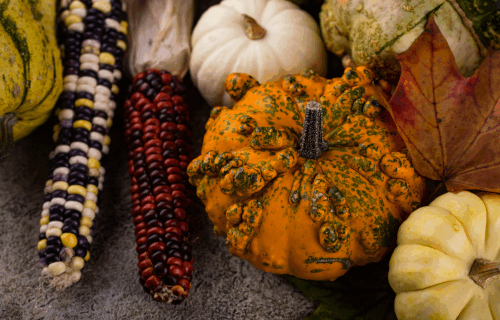 Squash, corn, and a fall leaf