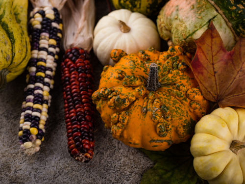 Squash, corn, and a fall leaf