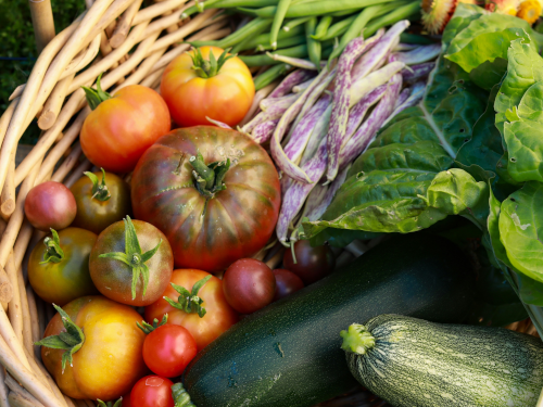 a basket with vegetables