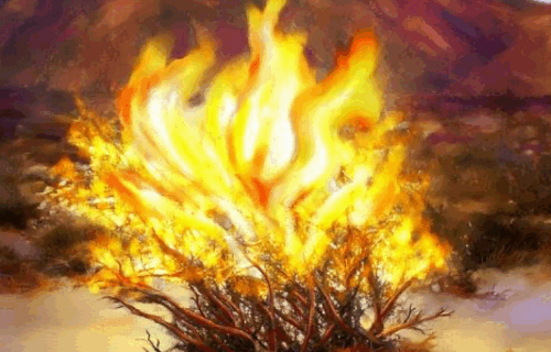 a painting of a burning bush