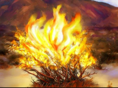 a painting of a burning bush