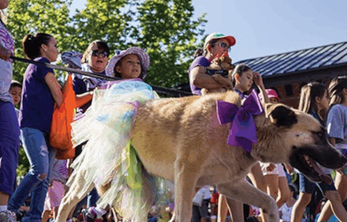 Dog in Tu-tu at Pet Parade