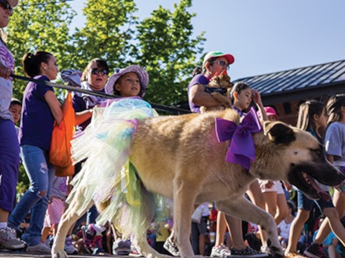 Dog in Tu-tu at Pet Parade