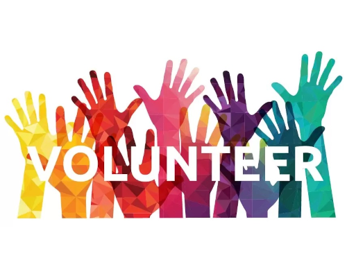 Rainbow hand silhouettes with the word volunteer in white